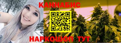 крисы Жуковский