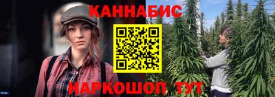 крисы Жуковский