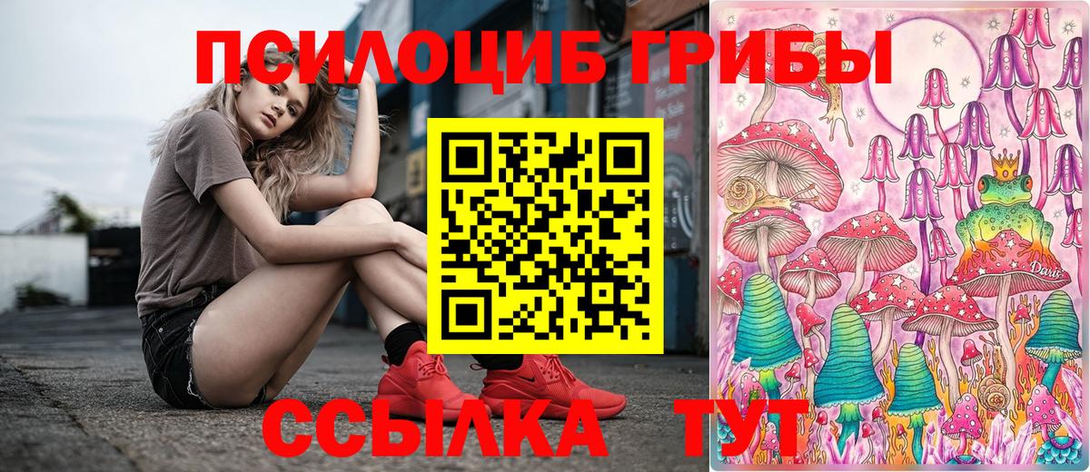 Галлюциногенные грибы Cubensis Йошкар-Ола