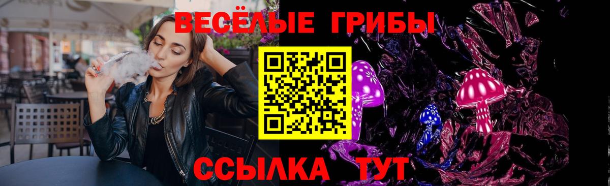 Йошкар-Ола  наркотики  Вход с VPN  Псилоцибиновые грибы мухоморы 